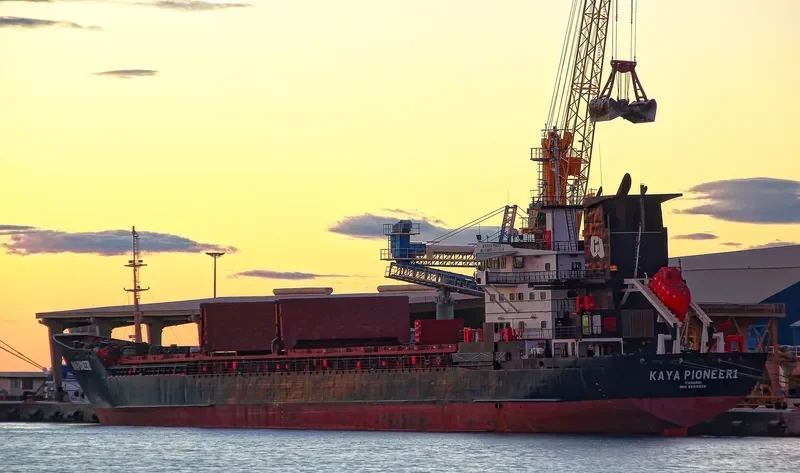 KAYA PIONEER 1 General Cargo IMO 8609929 photo 2