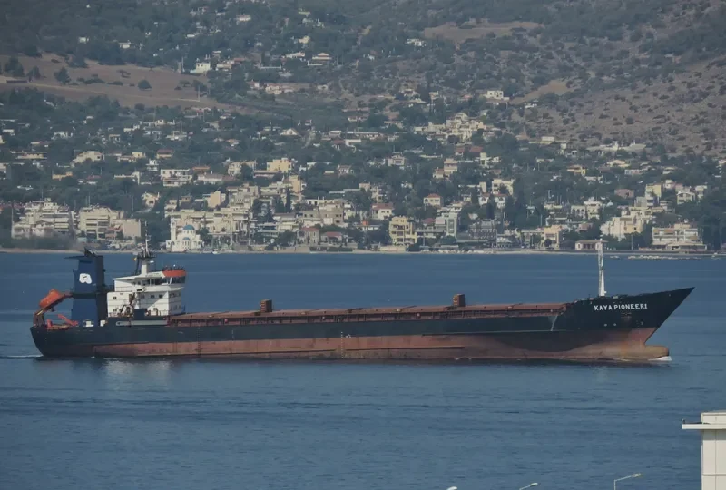 KAYA PIONEER 1 General Cargo IMO 8609929 photo 3