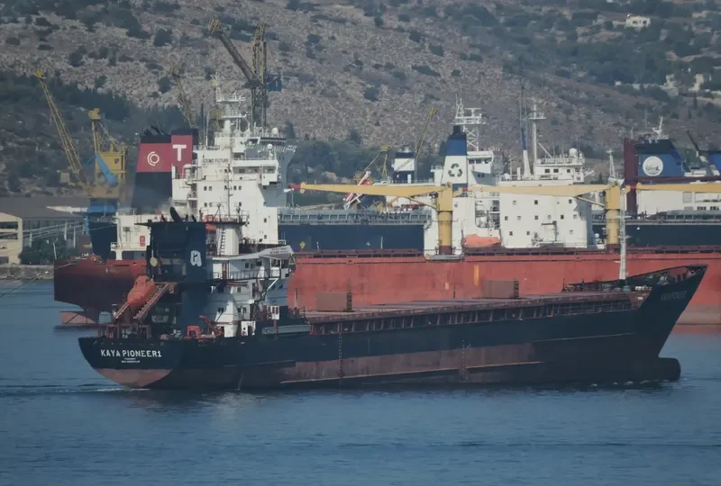 KAYA PIONEER 1 General Cargo IMO 8609929 photo 4