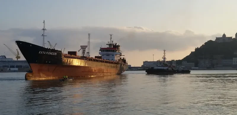KAYA PIONEER 1 General Cargo IMO 8609929 photo 6