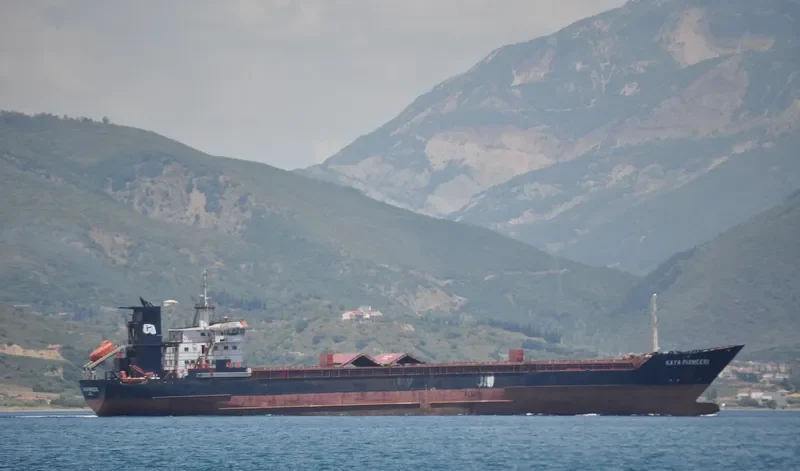 KAYA PIONEER 1 General Cargo IMO 8609929 photo 7