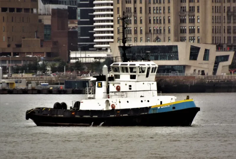 PASSAT General Cargo IMO 8610289 photo 7