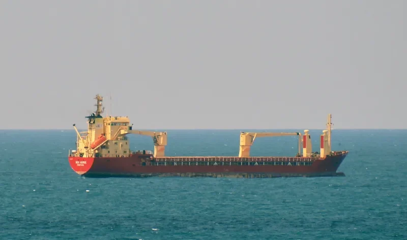 MY QUEEN General Cargo IMO 8610291