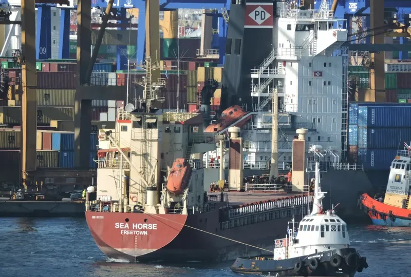 MY QUEEN General Cargo IMO 8610291 photo 4