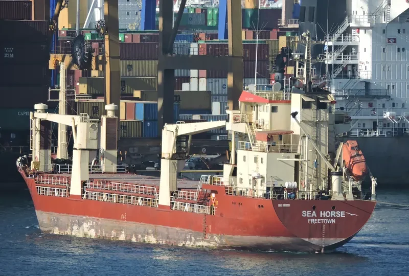 MY QUEEN General Cargo IMO 8610291 photo 5
