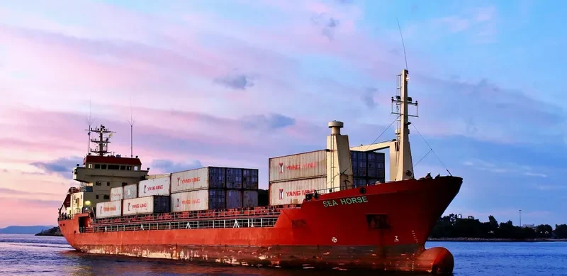 MY QUEEN General Cargo IMO 8610291 photo 8