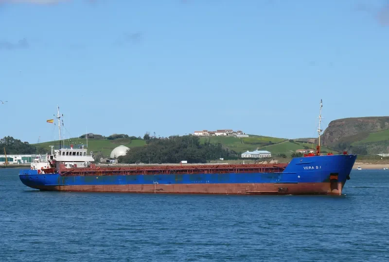 VERA SU General Cargo IMO 8611219 photo 4