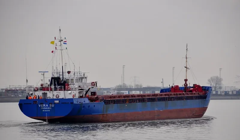 VERA SU General Cargo IMO 8611219 photo 6