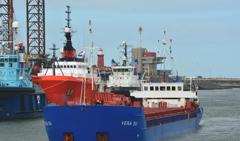 VERA SU General Cargo IMO 8611219 photo 8