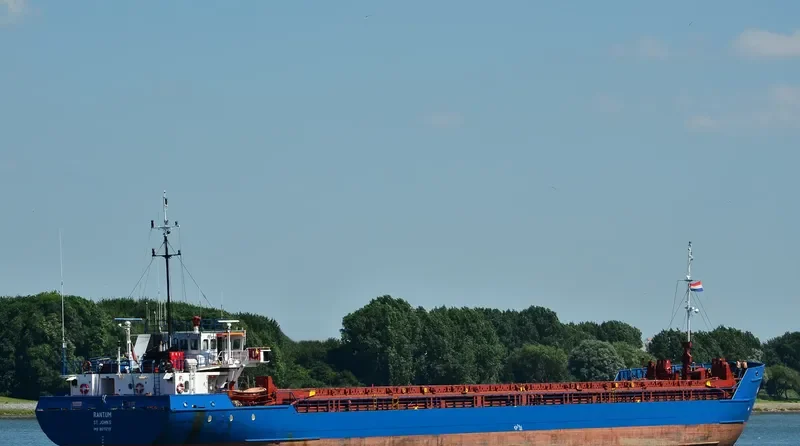VERA SU General Cargo IMO 8611219 photo 9