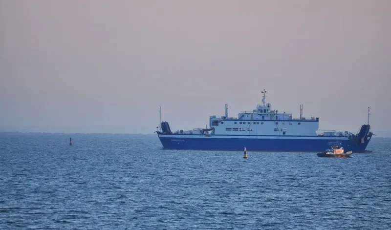 DORIEUS Ro-Ro IMO 8611532 photo 4