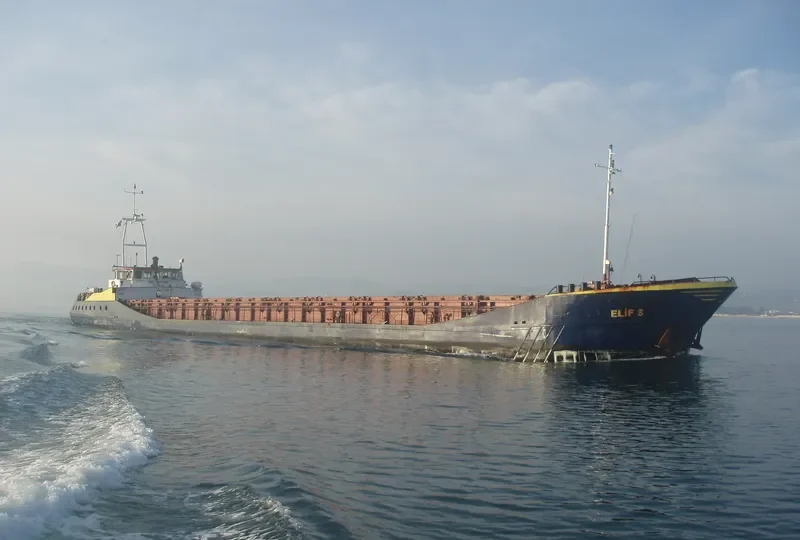 MG TRADER General Cargo IMO 8611996 photo 10