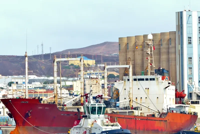 PUNTO ROSSO General Cargo IMO 8612304 photo 2