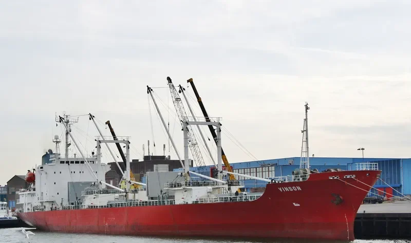 VINSON General Cargo IMO 8612641 photo 2