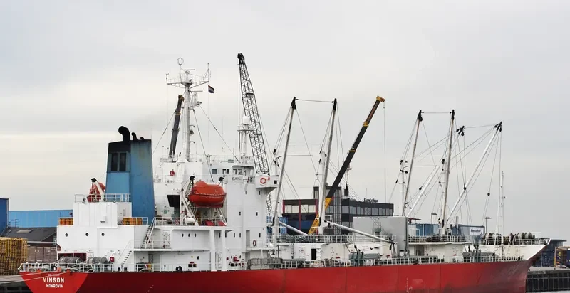 VINSON General Cargo IMO 8612641 photo 3