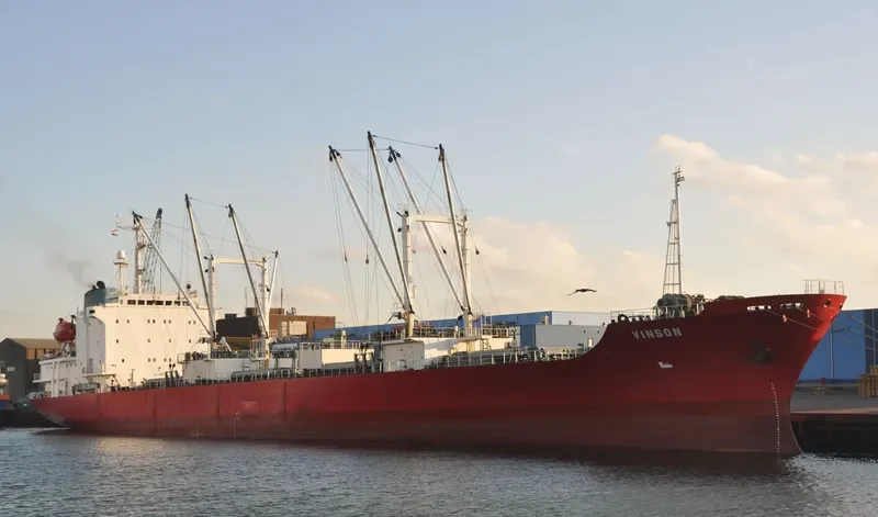 VINSON General Cargo IMO 8612641 photo 6