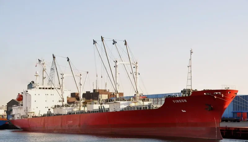 VINSON General Cargo IMO 8612641 photo 7