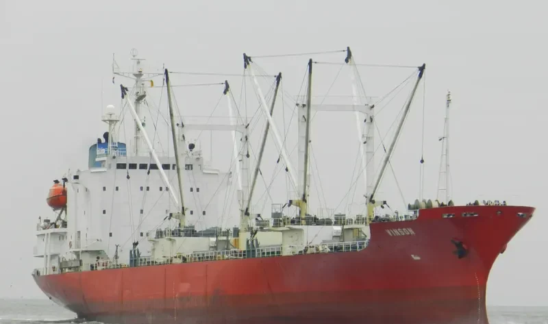 VINSON General Cargo IMO 8612641 photo 8