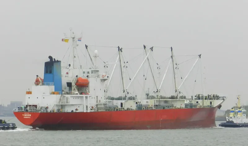 VINSON General Cargo IMO 8612641 photo 9