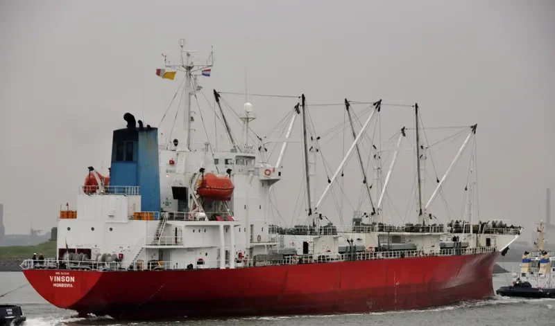 VINSON General Cargo IMO 8612641 photo 10