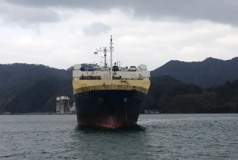 OCEAN PRIDE I General Cargo IMO 8612988 photo 7