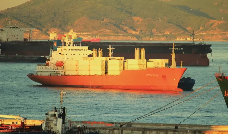 ARCTIC OCEAN General Cargo IMO 8613009 photo 3