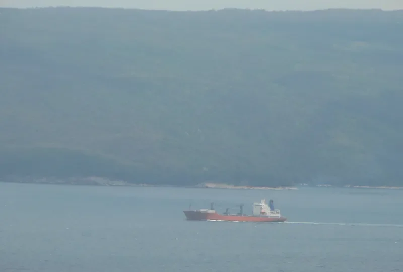 ARCTIC OCEAN General Cargo IMO 8613009 photo 4