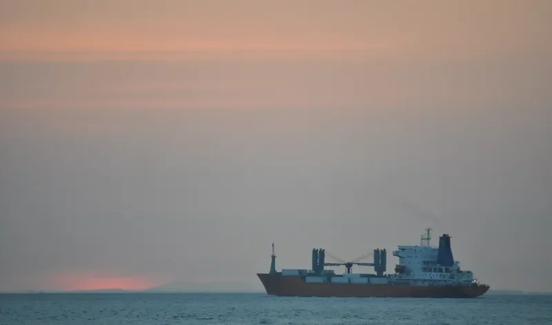 INDIAN OCEAN General Cargo IMO 8613011 photo 10