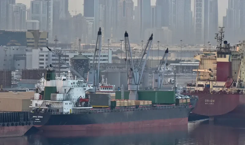 BOOLI MOOG General Cargo IMO 8613061 photo 2