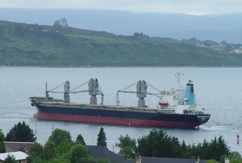BOOLI MOOG General Cargo IMO 8613061 photo 4