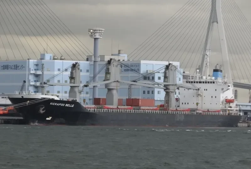 BOOLI MOOG General Cargo IMO 8613061 photo 8