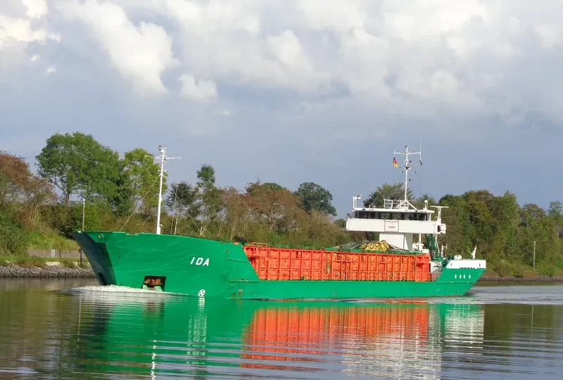 IDA General Cargo IMO 8613358 photo 7
