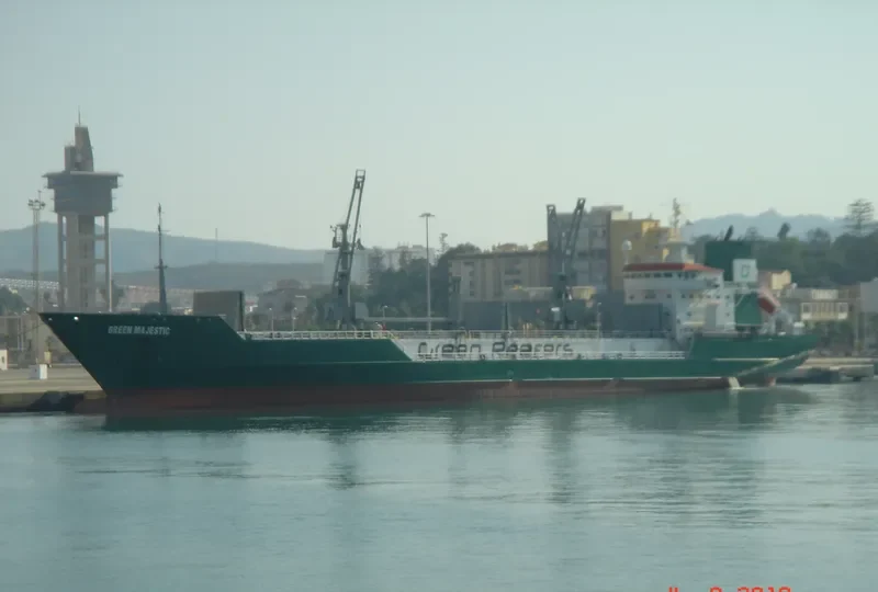 GREEN MAJESTIC General Cargo IMO 8614039 photo 2