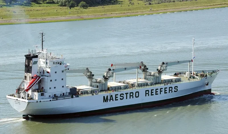 ICE FLAKE General Cargo IMO 8615227 photo 3