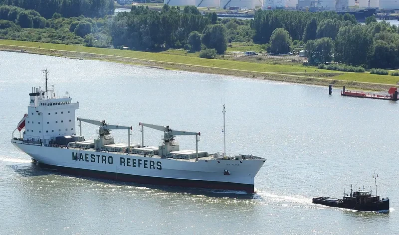 ICE FLAKE General Cargo IMO 8615227 photo 4