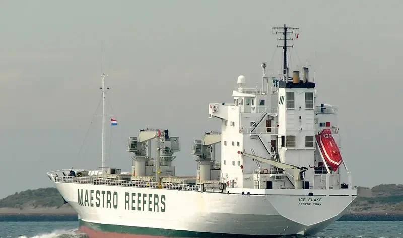 ICE FLAKE General Cargo IMO 8615227 photo 5