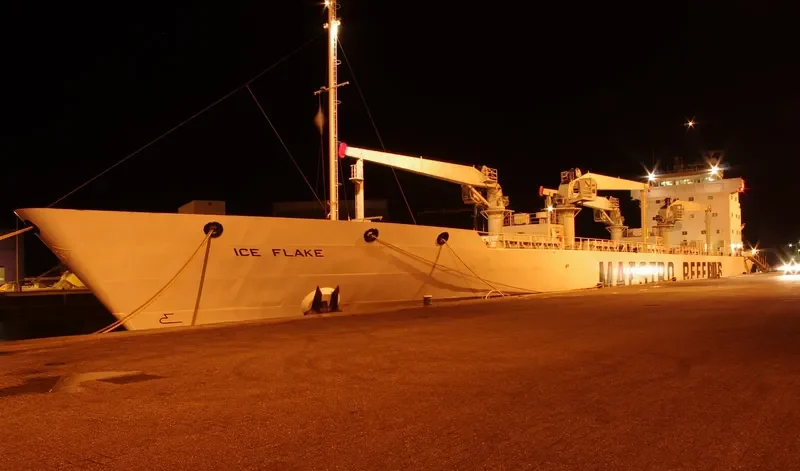 ICE FLAKE General Cargo IMO 8615227 photo 6