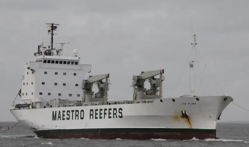 ICE FLAKE General Cargo IMO 8615227 photo 7
