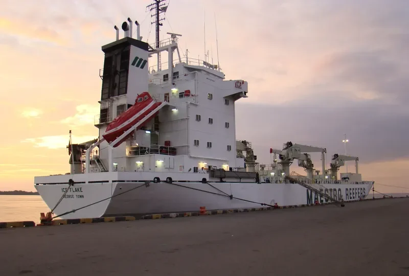 ICE FLAKE General Cargo IMO 8615227 photo 8