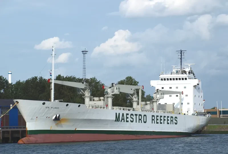 ICE FLAKE General Cargo IMO 8615227 photo 9