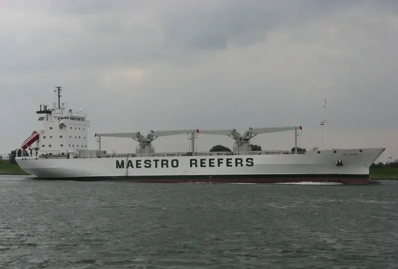 ICE FLAKE General Cargo IMO 8615227 photo 10
