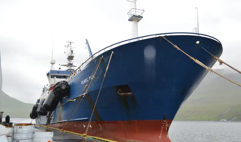 ATLANTIC ORION General Cargo IMO 8615849 photo 7