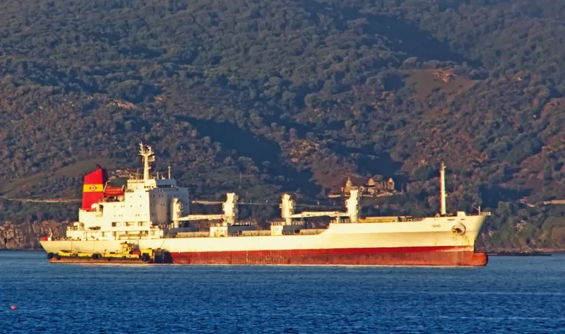 BALTIC MERCURY General Cargo IMO 8616312