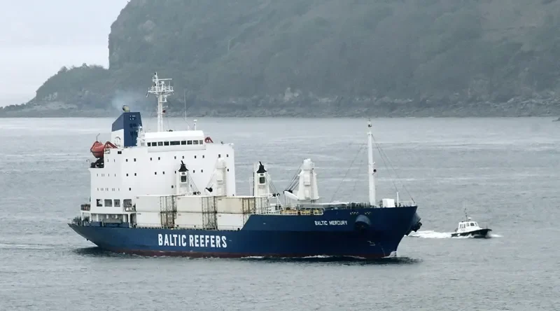 BALTIC MERCURY General Cargo IMO 8616312 photo 10