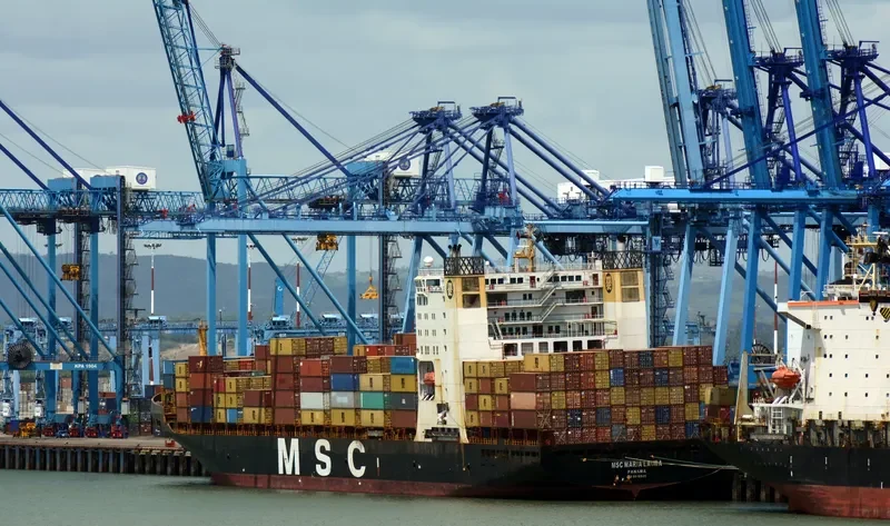 MSC MARIA LAURA Container Ship IMO 8616520