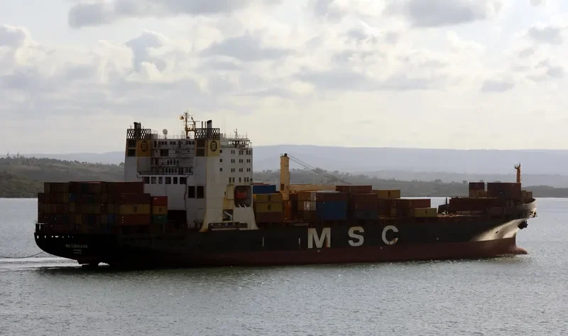 MSC MARIA LAURA Container Ship IMO 8616520 photo 2
