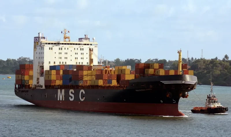 MSC MARIA LAURA Container Ship IMO 8616520 photo 3