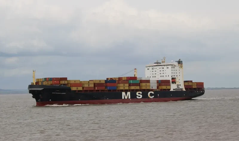 MSC MARIA LAURA Container Ship IMO 8616520 photo 5
