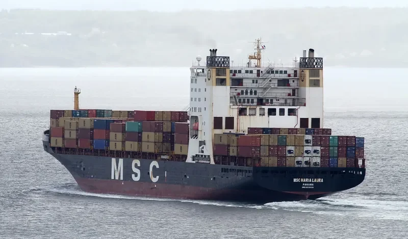 MSC MARIA LAURA Container Ship IMO 8616520 photo 7