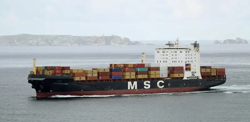 MSC MARIA LAURA Container Ship IMO 8616520 photo 8
